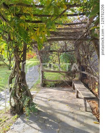 A shaded autumn garden path leads past a rustic wooden bench 129782206