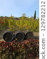 Three wine barrels lying in front of colorful autumn vines in vineyard, fall season. 129782212