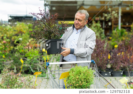 Man choosing seedlings in market Man choosing seedlings in market 129782318
