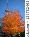 Autumn leaves shining in the blue sky 129782462