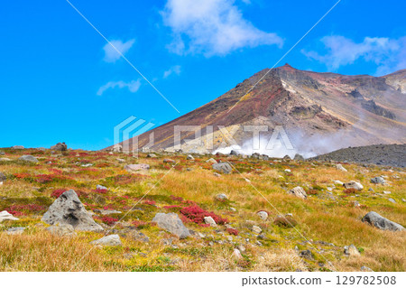 秋天的旭岳旭台 129782508