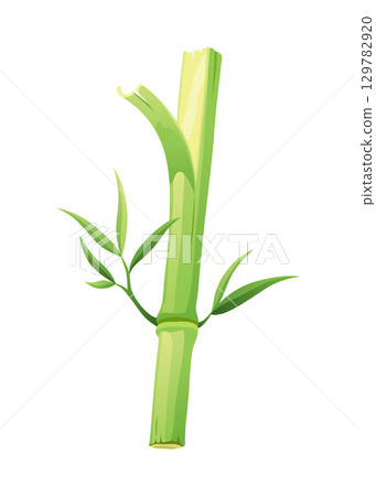 Bamboo green stalk, icon. Stem with leaf isolated on white background. Eco design of stick bamboo with foliage or leaves, vector illustration Bamboo green stalk, icon. Stem with leaf isolated on white background. Eco design of stick bamboo with foliage or leaves, vector illustration 129782920