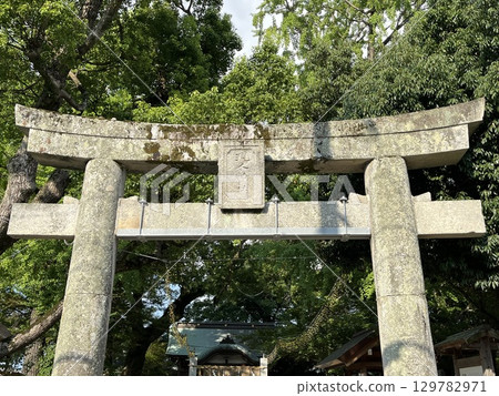 福岡縣那珂川市源神社的鳥居 129782971