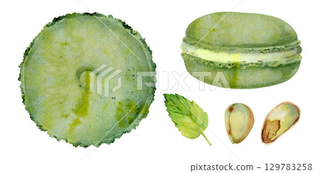 Macaronsm whoopie pies with mint leaf garnish, pistachio nuts, shells and fresh kernels. Watercolor hand painted illustration. Cafe menus, tea party invitation, artisanal dessert poster, bakery logo. 129783258