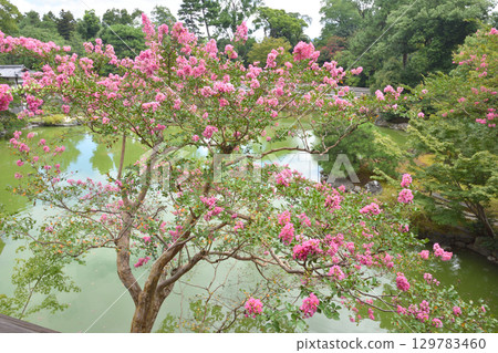 View from the second floor of Shusuitei in Kyoto Imperial Palace 129783460