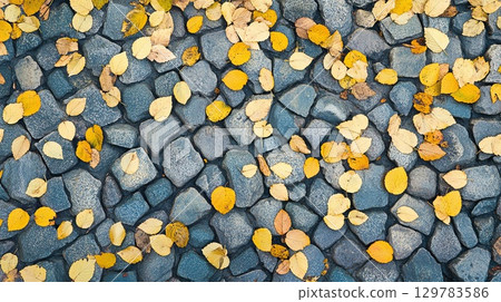 Bright yellow autumn leaves scattered across a cobblestone path . 129783586