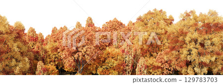 3d rendering of panoramic autumn deciduous forest with yellow orange and red foliage on a transparent background. Realistic wide nature panorama 129783703