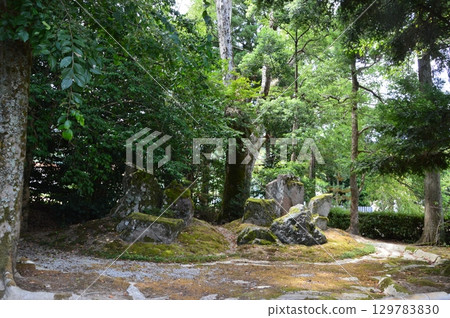 常陽花園（浦島神社境內 / 京都府與佐郡伊根町本所浜 141） 129783830