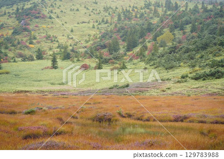 Plateau that leaves Plateau that leaves 129783988