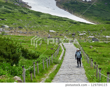 夏季旅遊勝地、立山黑部阿爾卑斯山脈路線室堂山頂的風景以及觀光的人們 129784115