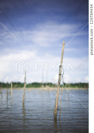 海浬的電線桿 129784434