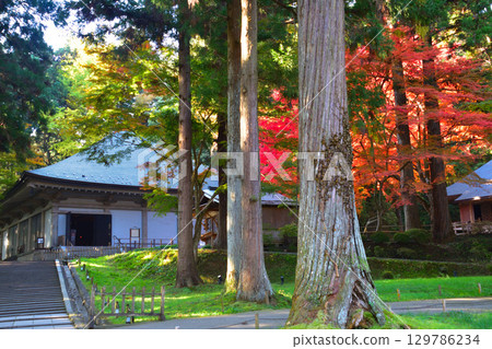 Autumn, Oshu, Hiraizumi, Chusonji Temple, Golden Hall 129786234