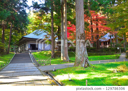 秋天,奧州,平泉,中尊寺,金殿殿 秋天,奧州,平泉,中尊寺,金殿殿 129786306