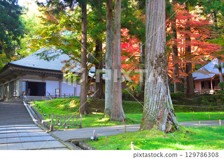 Autumn, Oshu, Hiraizumi, Chusonji Temple, Golden Hall Autumn, Oshu, Hiraizumi, Chusonji Temple, Golden Hall 129786308