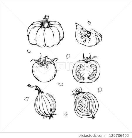 Hand-Drawn Vegetables Sketch Set of Pumpkin, Tomato and Onion 129786493