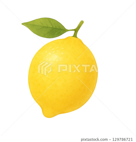 [Fruit] Lemon illustration 129786721
