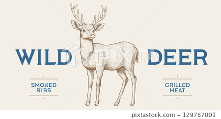 Deer. Hand drawn deer, stag, buck. Vintage retro print, black white deer, stag, buck, sketch ink pencil style drawing, engrave. Sketch artwork silhouette head deer, stag, buck. Vector Illustration 129787001