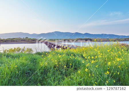 [Takase Bridge (Yoshino River)] Aiba Nishikakuen, Ishii Town, Myosa District, Tokushima Prefecture 129787162