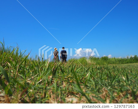 夏天的一對情侶 夏天的一對情侶 129787163