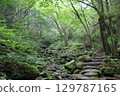 Green mountain trail 129787165
