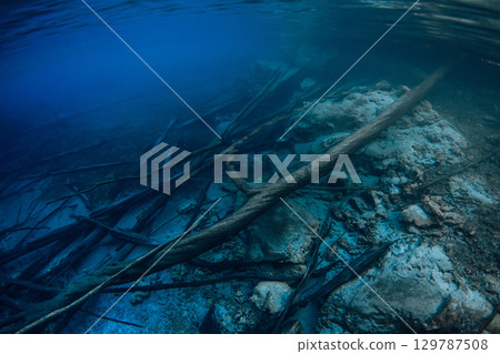 Sunken logs with rocks underwater in blue lake Sunken logs with rocks underwater in blue lake 129787508