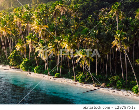 Paradise coastline with palm trees and sunrise light on tropical island in Indonesia. Remote travel destination. Paradise coastline with palm trees and sunrise light on tropical island in Indonesia. Remote travel destination. 129787512