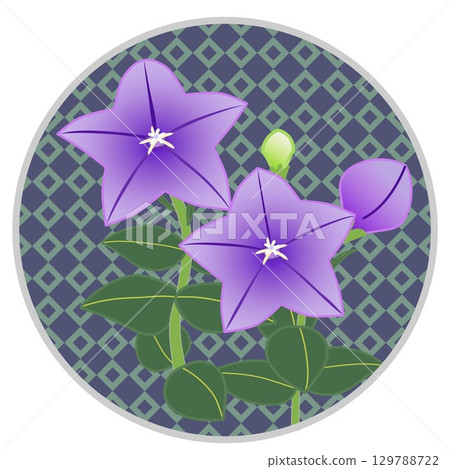 Illustration of a bellflower with a circular background Illustration of a bellflower with a circular background 129788722