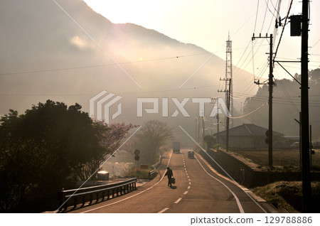 Morning mist road Morning mist road 129788886