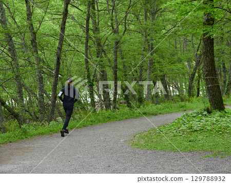 A person running on a forest trail in Kamikochi, a popular tourist spot in summer 129788932