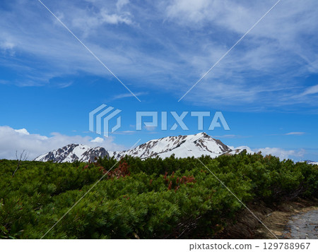 立山黑部阿爾卑斯山脈路線旅遊勝地室堂山頂的雪景 129788967