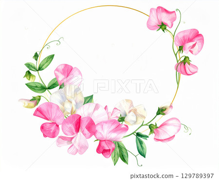 Sweet pea flower frame 129789397