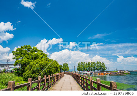 滋賀縣大津市膳瀨城跡公園散步道 129789906