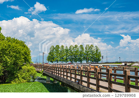 Promenade at Zeze Castle Ruins Park, Otsu City, Shiga Prefecture 129789908