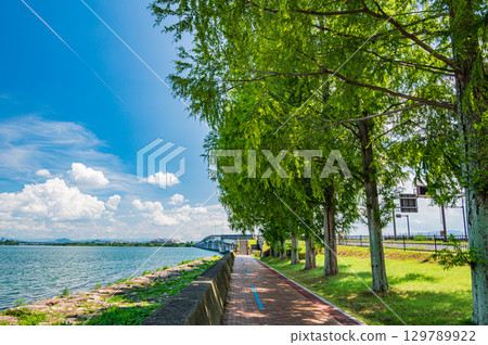 Tree-lined road along the shore of Lake Biwa, Otsu City, Shiga Prefecture 129789922