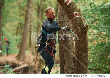 Process of preparing. Man is doing climbing in the forest by use of safety equipment Process of preparing. Man is doing climbing in the forest by use of safety equipment 129790076