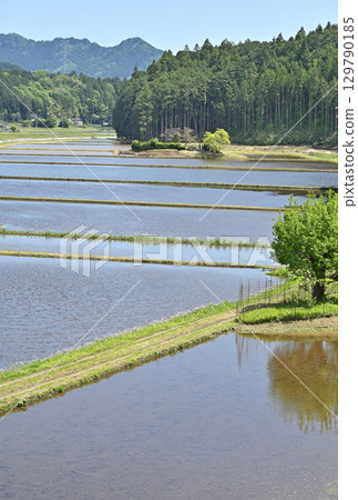 栃木縣日光市小代市的鄉村風景 129790185