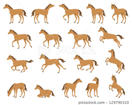 各種姿勢的馬的插圖 129790320