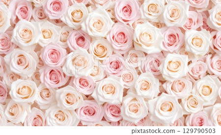 [AI image] Pink and white roses scattered everywhere 129790503