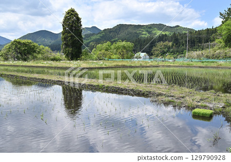 Mountain village, rice fields, Itaka, Kanuma City, Tochigi Prefecture Mountain village, rice fields, Itaka, Kanuma City, Tochigi Prefecture 129790928