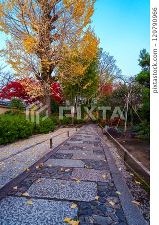 秋天的京都Tenryuji塔頭Myochiin 秋天的京都Tenryuji塔頭Myochiin 129790966