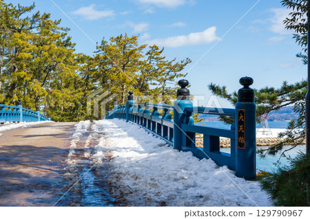 冬季的天橋立、白雪皚皚的松樹和藍色的大天橋 129790967