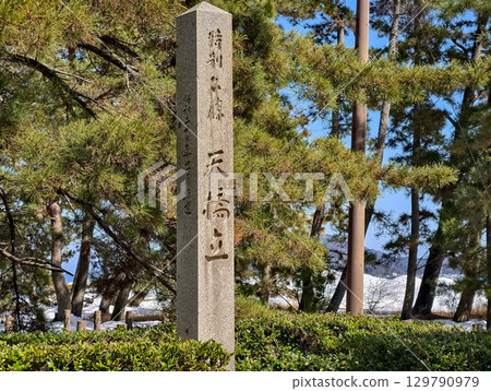 天橋立特別名勝石碑 天橋立特別名勝石碑 129790979