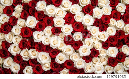 AI image: A carpet of red and white roses 129791085