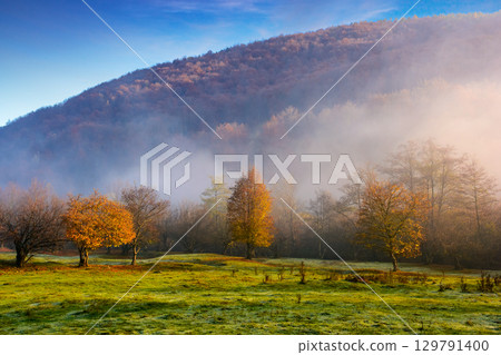 morning fog in autumn landscape with forest on the hill. empty grassy pasture in rural scene in carpathian mountains under clear blue sky. scenic view encourages to travel ukraine morning fog in autumn landscape with forest on the hill. empty grassy pasture in rural scene in carpathian mountains under clear blue sky. scenic view encourages to travel ukraine 129791400