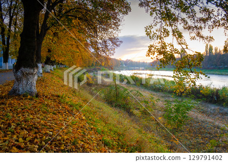 uzhhorod, ukraine - 31 oct, 2009: river uzh at dawn in autumn. beautiful cityscape scenery in morning light. scenic linden alley in fall colors. fallen foliage on the ground uzhhorod, ukraine - 31 oct, 2009: river uzh at dawn in autumn. beautiful cityscape scenery in morning light. scenic linden alley in fall colors. fallen foliage on the ground 129791402