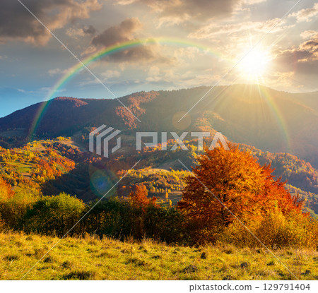 autumn mountain landscape at sunset. beautiful countryside in highlands with rural fields and colorful deciduous trees. rolling hills inder the rainbow in evening light 129791404