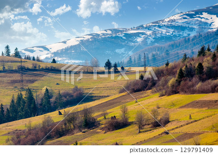 mountainous countryside landscape in spring. grassy field on slope of a hill. borzhava mountain ridge with snow capped tops in the distance. sunny weather with clouds on the blue morning sky 129791409