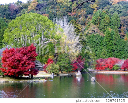 秋色中的白水阿彌陀堂 2011 129791525