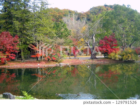 秋色中的白水阿彌陀堂 2011 129791526