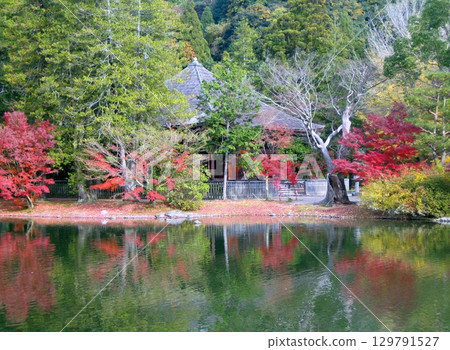 秋色中的白水阿彌陀堂 2011 129791527